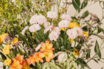 ALMA SILVESTRE - Imagen 3