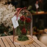 Cúpula rosa eterna
