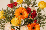 PRIMAVERA DORADA - Imagen 3